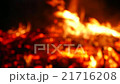 Fire, bonfire, forest fire, flames in blur defocus 21716208