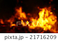 Fire, bonfire, forest fire, flames in blur defocus 21716209