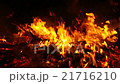 Fire, bonfire, forest fire, flames in blur defocus 21716210