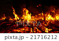 Fire, bonfire, forest fire, flames in slow motion  21716212