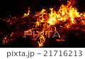 Fire, bonfire, forest fire, flames in slow motion  21716213