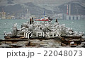 Seagulls on destroyed pier in port of Novorossiysk 22048073