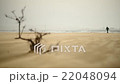 Flying sand due to windy weather on Anapa beach 22048094