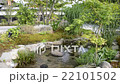 庭園　水辺 22101502
