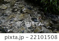 清流１　滝のそば 22101508