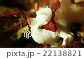 Small white red clown frogfish on a seafloor 22138821