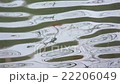 反映水面 22206049