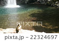 奈良県・明神滝 奈良県・明神滝 22324697