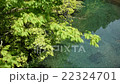 奈良県・吉野川 奈良県・吉野川 22324701