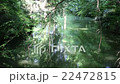 池に反射する木々 22472815