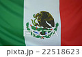 Slowmotion real textile Flag of Mexico 22518623