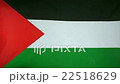 Slowmotion real textile Flag of State of Palestine 22518629