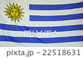 Slowmotion real textile Flag of Uruguay 22518631