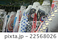 Carp streamer 22568026