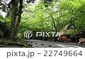 鹿と風景 22749664