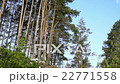 Dump garbage in forest 22771558