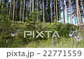 Dump garbage in forest 22771559