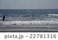 一個海灘 22781316