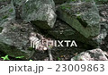 Stone Slabs in the Forest 23009863