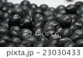 黒豆 黒豆 23030433