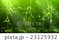 Neuronal Activity Pan Green 23125932