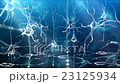 Neuronal Activity Zoom Blue 23125934