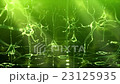 Neuronal Activity Zoom Green 23125935