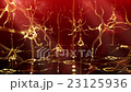 Neuronal Activity Zoom Red 23125936