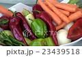 Vegetables on plate zoom out 23439518