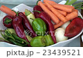 Ready vegetables on plate 23439521