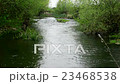 Sunlit creek and green plants along the banks 23468538