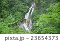 栃木縣日光市Kirinoyo瀑布（下層瀑布） 23654373