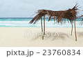 Palm sunroof at the sunny beach      23760834