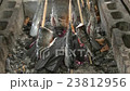 rainbow trout, grilled, fish, cooking, fireplace 23812956