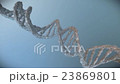 Futuristic Rotating DNA Strand with Genetic Codes  23869801