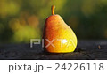 Bright and juicy pear on a tree stump 24226118