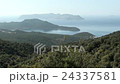 Panorama sea islands forest 24337581