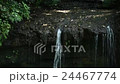 Kamakura of Yin Yang Waterfall 24467774