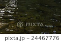 Water surface clear flow spring water 24467776