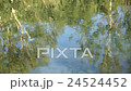 Shot of lake scenic in summer. Blurred nature 24524452