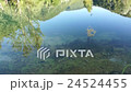 Shot of lake scenic in summer. Blurred nature 24524455