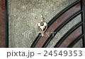 Door spy-hole zoom out 24549353