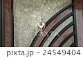 Door spy-hole zoom in 24549404