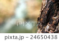 Beautiful waterfall in jungle forest. Video shift  24650438