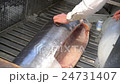 fish seller measuring tuna fish for set the price  24731407