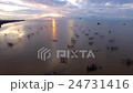 local fishing dip net bird flying, aerial shot 24731416