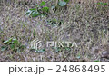 Water Inundated On Dry Grass Footage 24868495