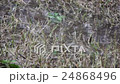 Heavy Rain Makes Water Inundated On Dry Grass  24868496
