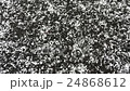 Big snowflakes  24868612