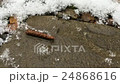 Large snowflakes fall on the track 24868616